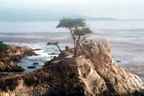 Inward Bound Ventures, on the Monterey Peninsula, is an educational and consulting firm
